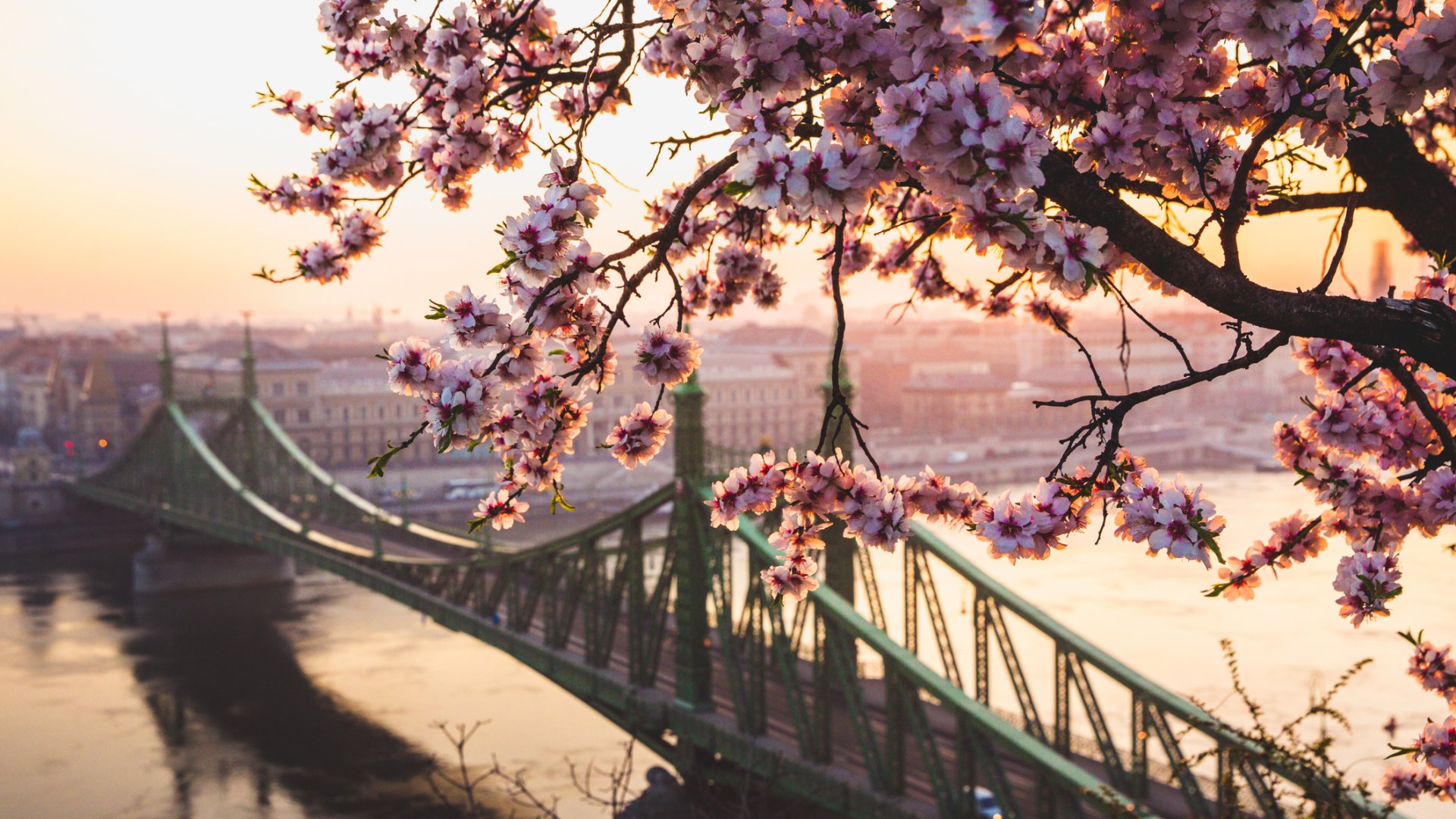 5 must-see spring attractions in Budapest not to be missed